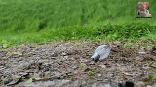 Light bulbs under black Wellies