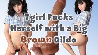Tgirl Fucks Herself with a Big Brown Dildo