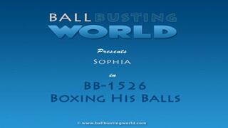 Sophia Boxing Ballbusting BB1526