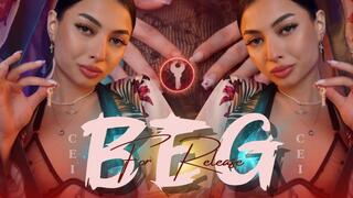 Beg for Release - CEI