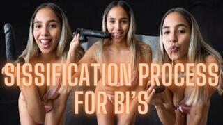 SISSIFICATION PROCESS FOR BI’S (Bi encourage)