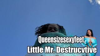 Little Mr Destructive Gets Detroyed