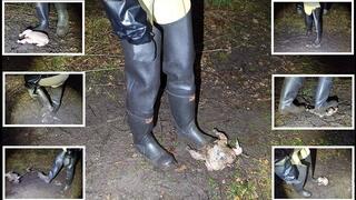 Chicken Stomping in Muddy Waders