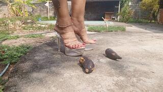 Crushing this fruit as if it were your penis (3)