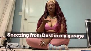 Sneezing from dust in my garage