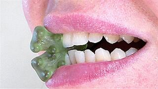 chew sweet bears wmv