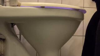 morning toilet sounds of beautiful bowel movements