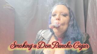 Smoking a Don Pancho Cigar - SGL006