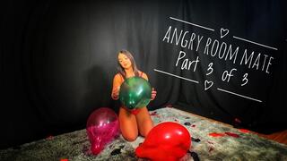 Angry Roommate (Part 3 of 3) **4K**