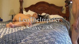 (HD) Slave #88 - Bedroom BJ, Lots of Ass Eating, Pussy Fucking and No Warning Anal, Angle 2 of 3