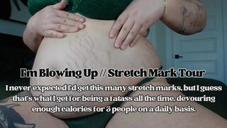 I'm Blowing Up | Stretch Mark Tour