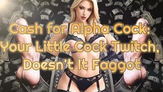 Cash for Alpha Cock Your Little Cock Twitch, Doesn't It Faggot