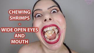CHEWING SHRIMPS - WIDE OPEN EYES AND MOUTH (Video request)