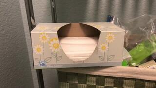 Masturbating while staring at a box of Puffs Plus tissues, with a surprise at the end