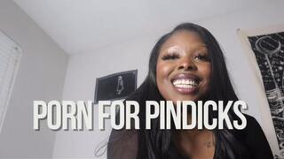Porn For Pindicks