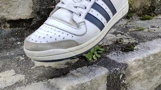 Grass and flowers crush in sneakers