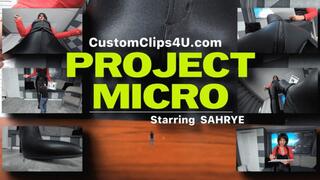 Sahrye Micro Project FX