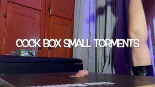 GEA DOMINA - COCK BOX SMALL TORMENTS