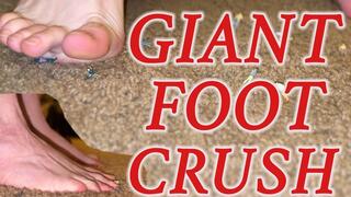 Unaware Giant Foot Crush! - HD MP4 1080p Format