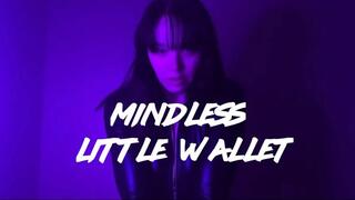 Mindless Little Wallet