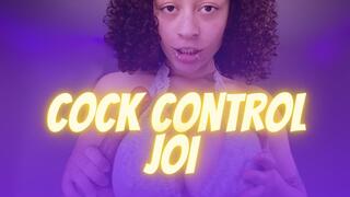 I Talk, You Stroke - Cock Control JOI [Voiceover Audio]
