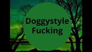 Doggystyle Fucking