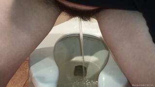 What Happens in the Ladies Room Part 10 HD