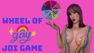 Wheel Of Gay JOI Game WMV