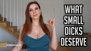 What Small Dicks Deserve