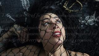 Caught in the Net (Struggling)