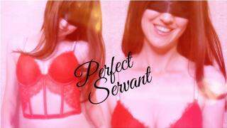 Perfect Servant