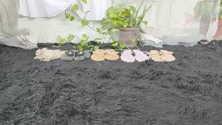 Trying on and wearing all my flip-flops (2)