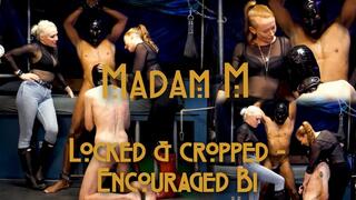 Locked & cropped, bisexual encouragement & humiliation with mouth wide open