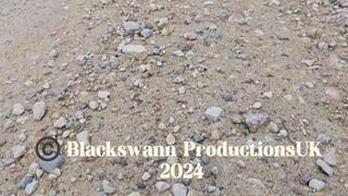 Mystical Woodland Witch and Swann