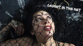 Caught in the Net (Moaning Fetish)