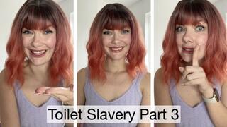 Toilet Slavery Part 3