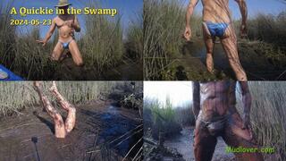 A Quickie in the Swamp, 2024-05-23
