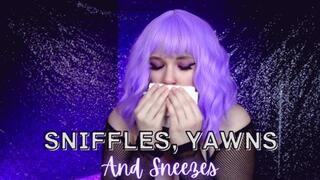 Sniffles, Yawns, and Sneezes
