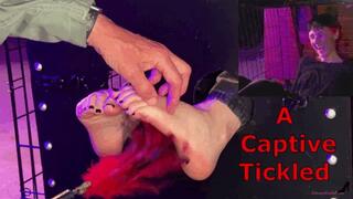 A Captive Tickled - Smokin Rose Foot Tickling Slave Tickling Feet in Stocks Tickling Domination Male Tickling Female Tickling Challenges Caged Woman HDMP4