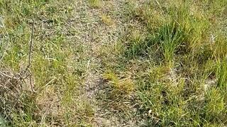 Nature fuck