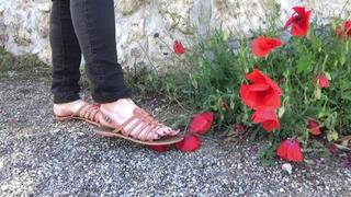 Red flowers and grass crush in sandals