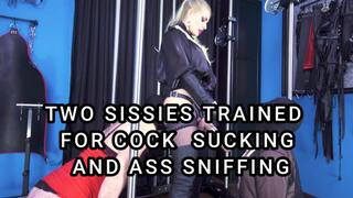 TWO SISSIES TRAINED FOR COCK SUCKING AND ASS SNIFFING