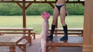 Put Your Shame On The Table