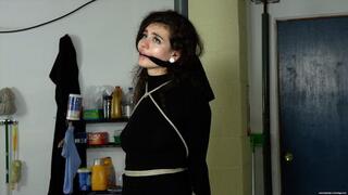 Unsuccessful Thief & Have We Met Before? (WMV 1080p) - Ramona Vixen