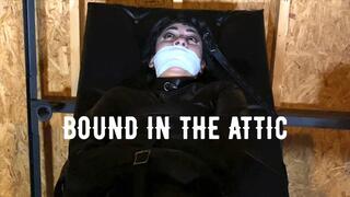 Bound in the Attic ft Fettish (Male Domination)
