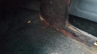 Crushing little man while pumping the car pedal (2)