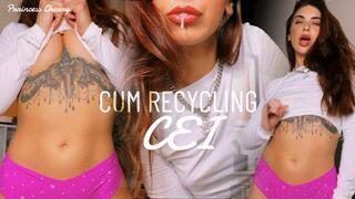 Cum Recycling CEI