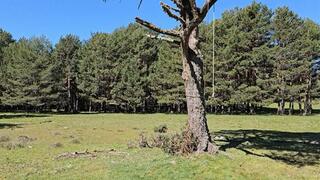 Bullwhipping infierno in the Spanish Sierra by Madame Catarina and Goddess Milah part 1