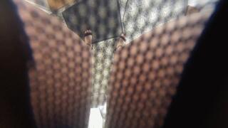 Geraldina and your Panty Wish 4k Version VR 360