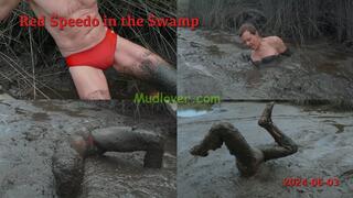 Red Speedo in the Swamp, 2024-06-03